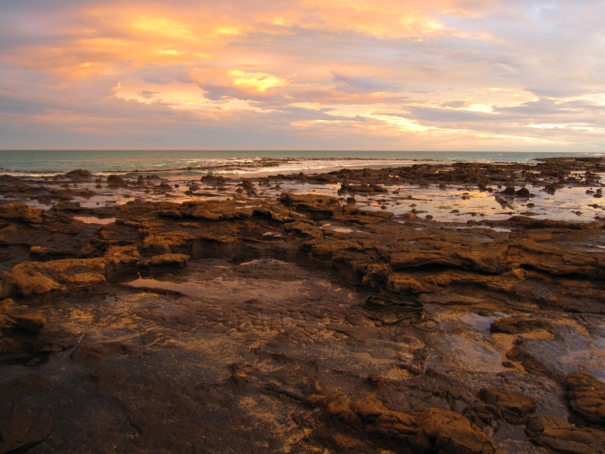 Sunset over the petrified forest of Curio Bay